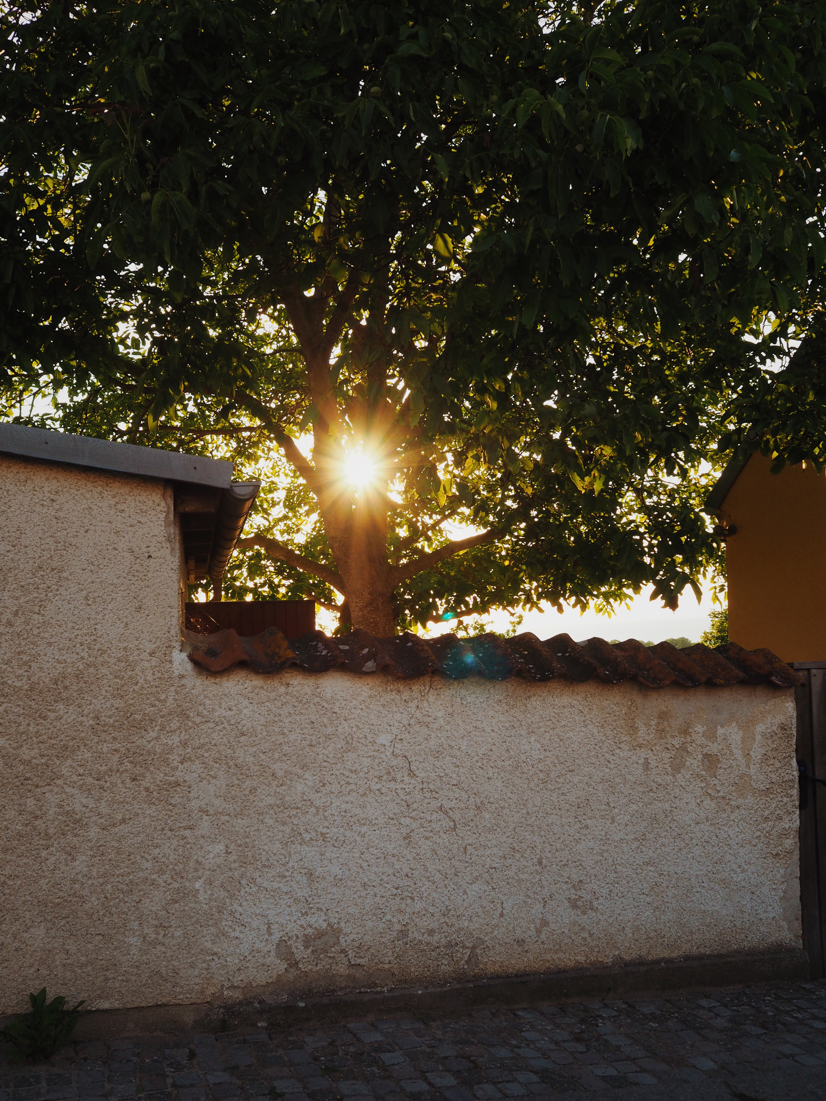 OLYMPUS DIGITAL CAMERA          Processed with VSCO with m5 preset