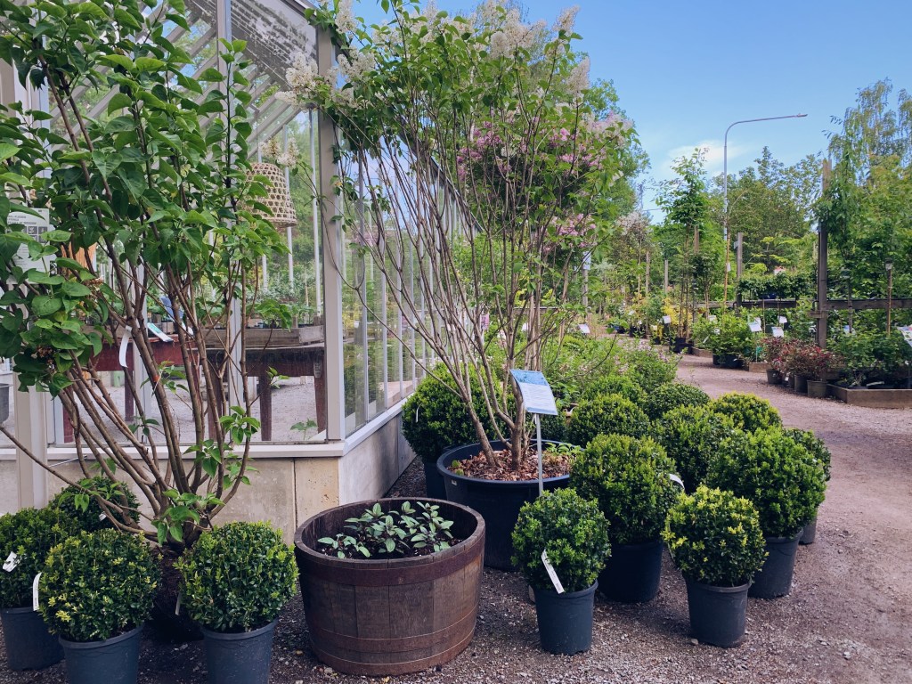 När jag behöver inspiration