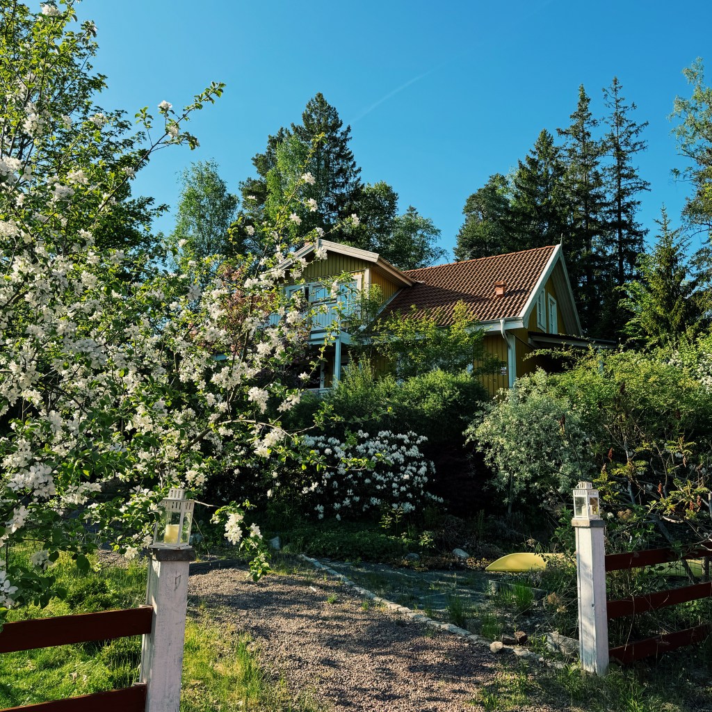 Sporadisk kreativitet