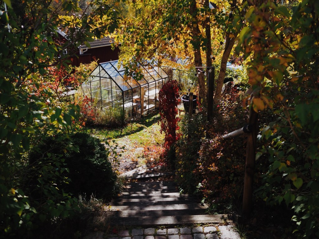 Där lite mittemellan