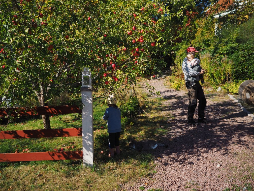 40: Veckans soundtrack