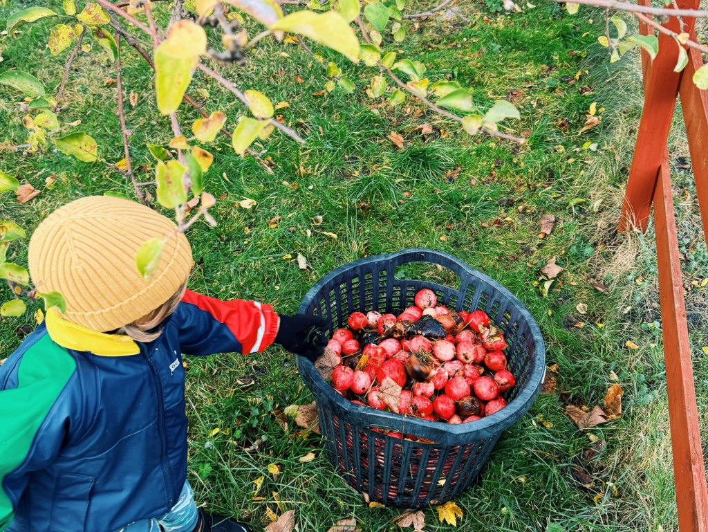 41: Veckans soundtrack