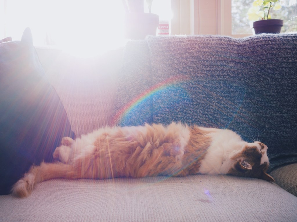 47: Veckans soundtrack