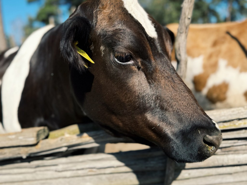 Felicia Bueller’s day&nbsp;off