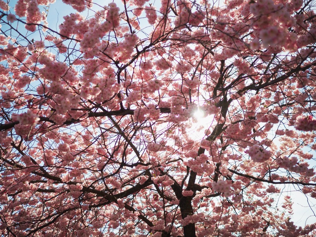 Ett innehållsrikt påsklov