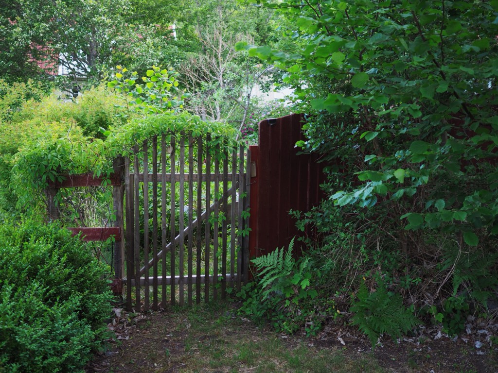 och nu så vill jag sjunga att sommaren är skön