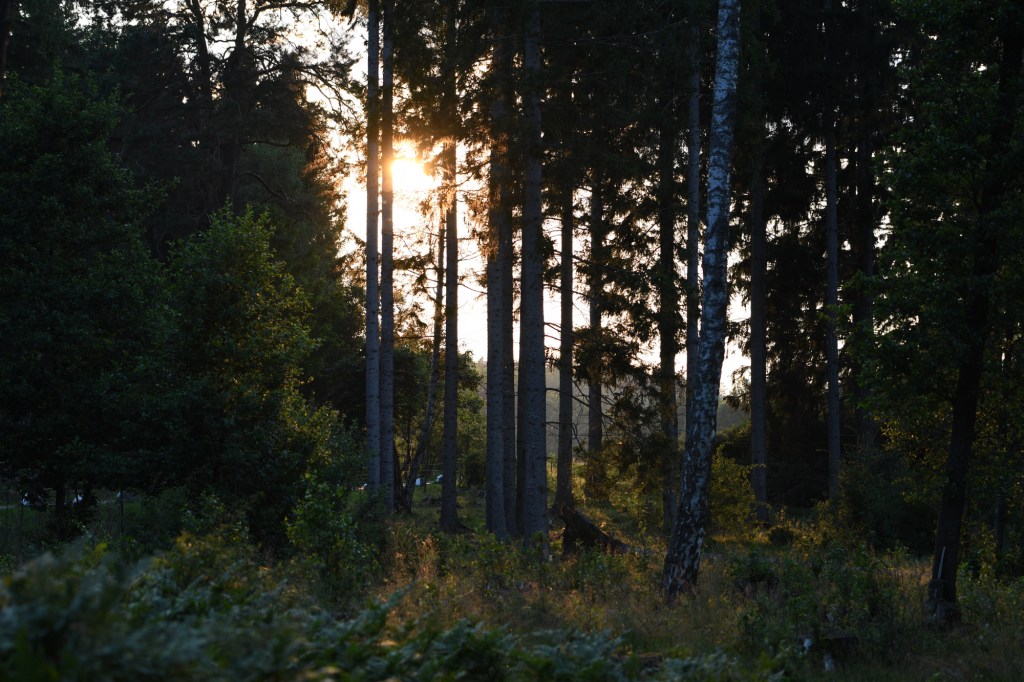 En liten sommarlista