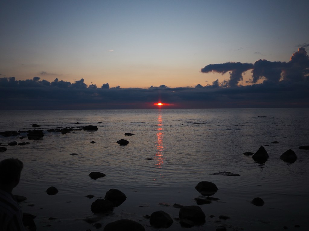 Skrik och gråt och bulor och&nbsp;blod